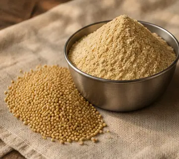 Foxtail millet (kangni) flour with its grain