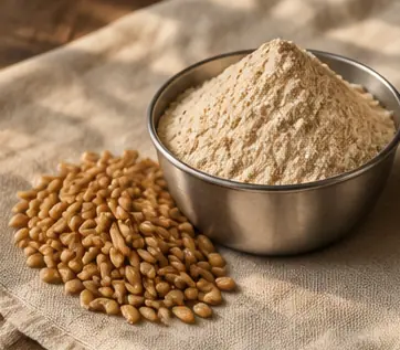 Sharbati wheat flour with its grain